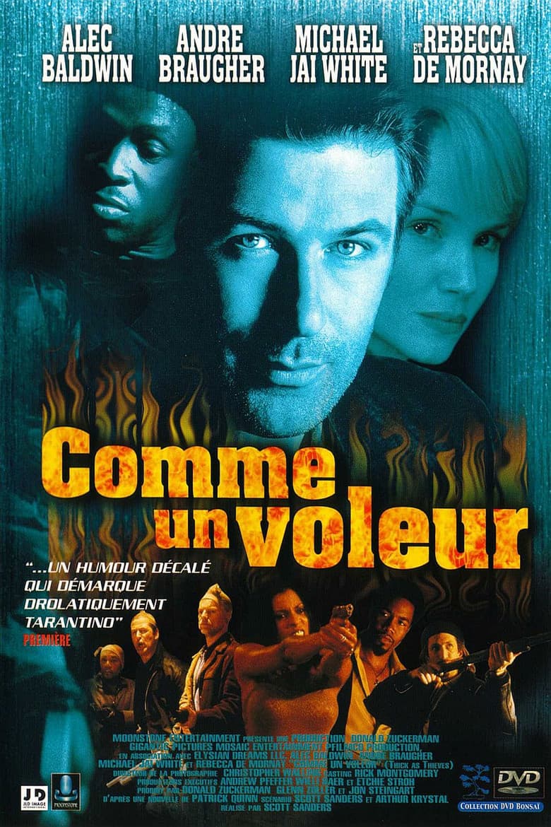 Affiche de Comme un voleur