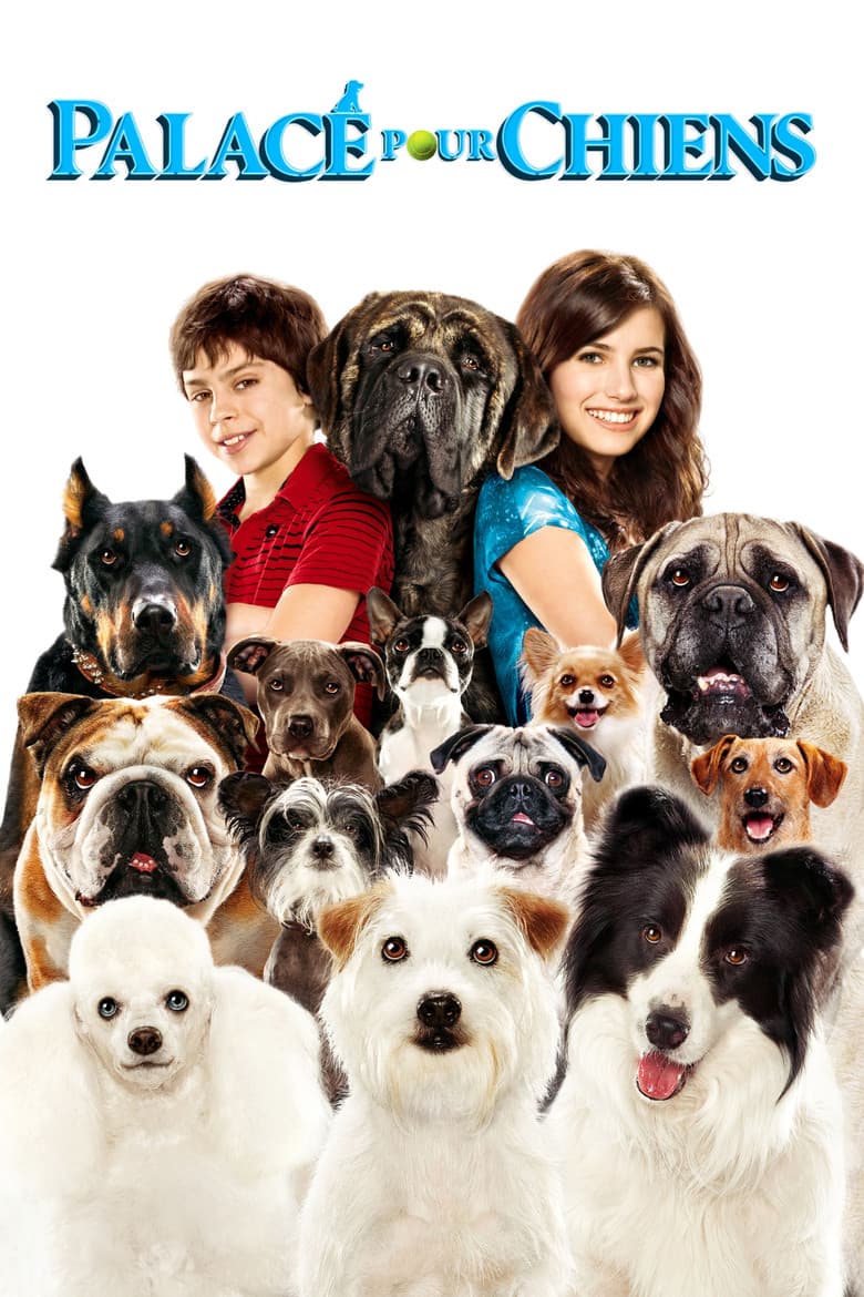 Affiche de Palace pour chiens