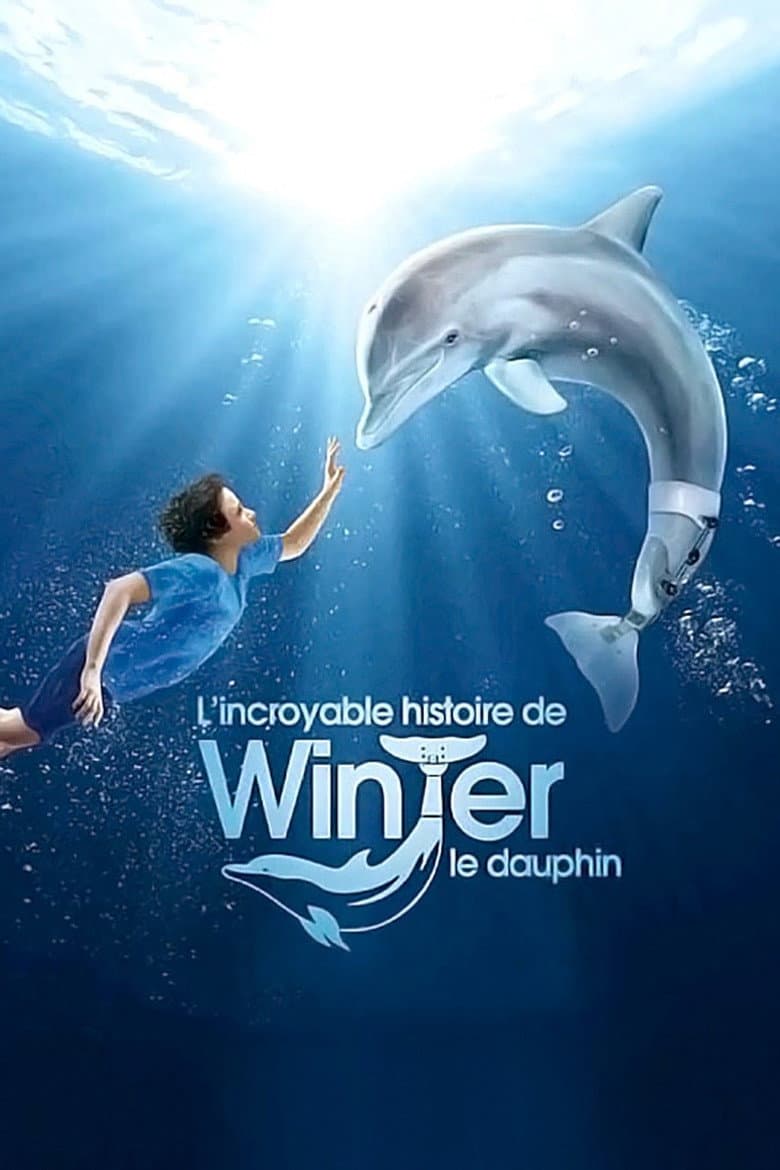 Affiche de L'Incroyable Histoire de Winter le dauphin