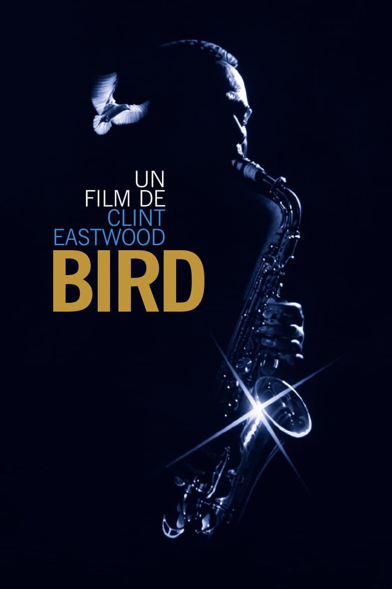 Affiche de Bird