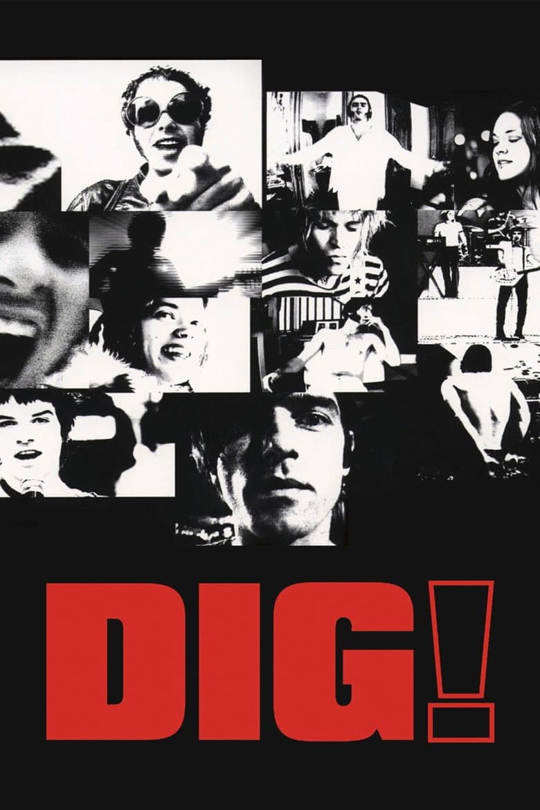 Affiche de Dig!