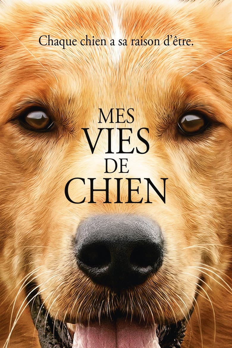 Affiche de Mes vies de chien
