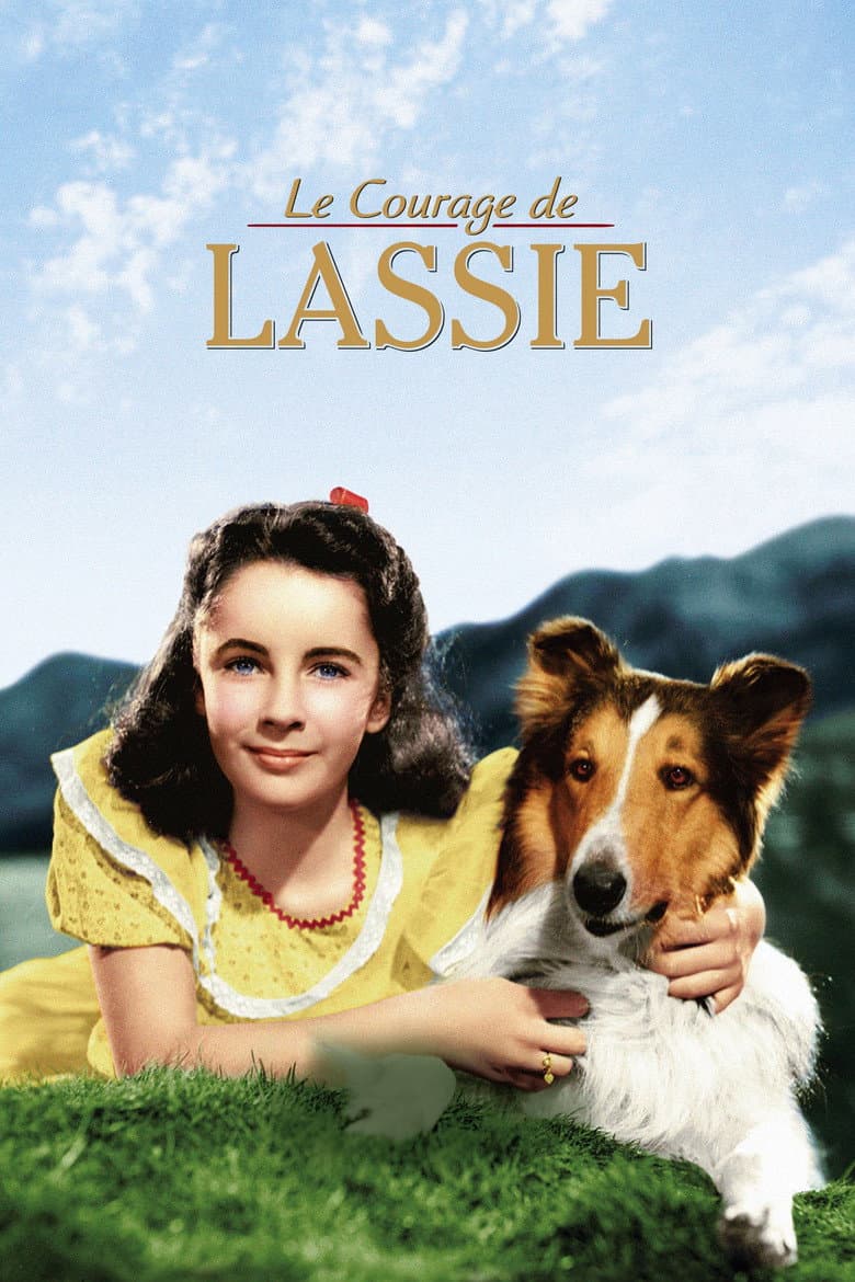 Affiche de Le Courage de Lassie