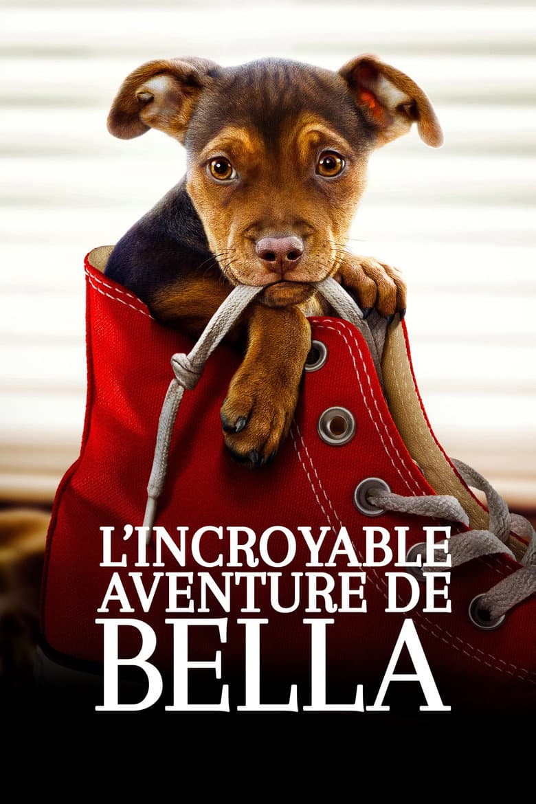 Affiche de L'Incroyable Aventure de Bella