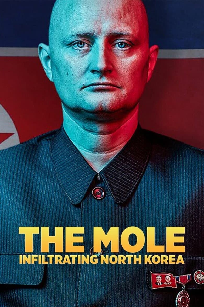 Affiche de The Mole