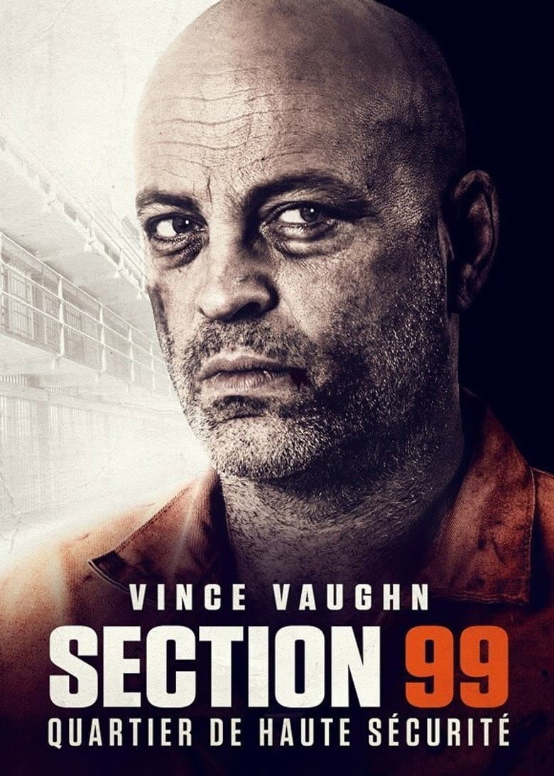 Affiche de Section 99