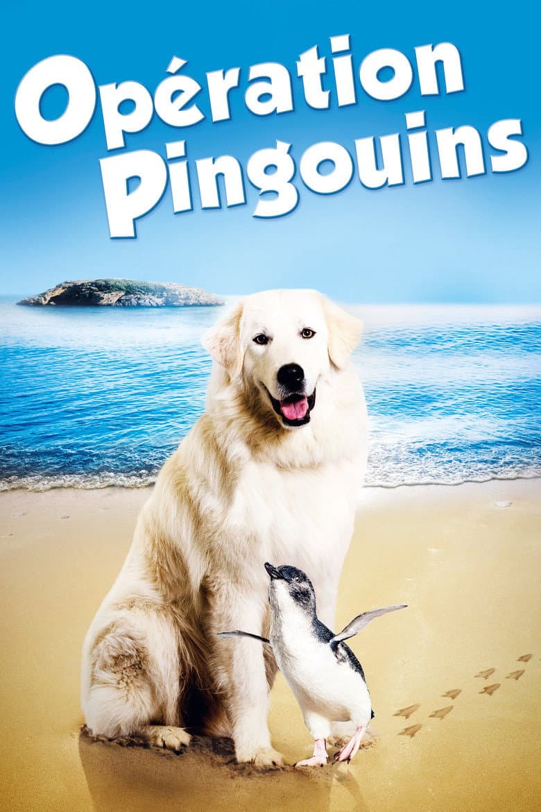 Affiche de Opération Pingouins