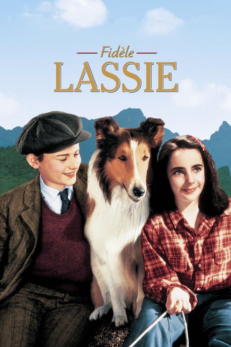 Affiche de Fidèle Lassie