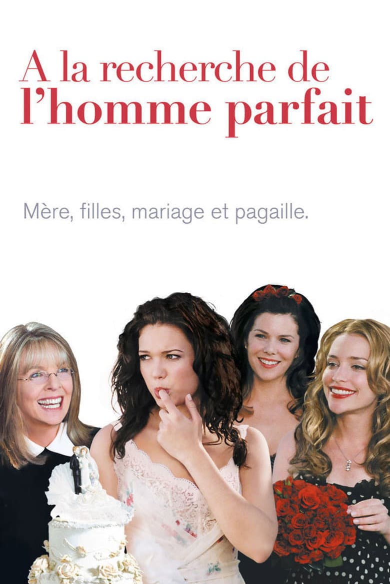 Affiche de A la recherche de l'homme parfait