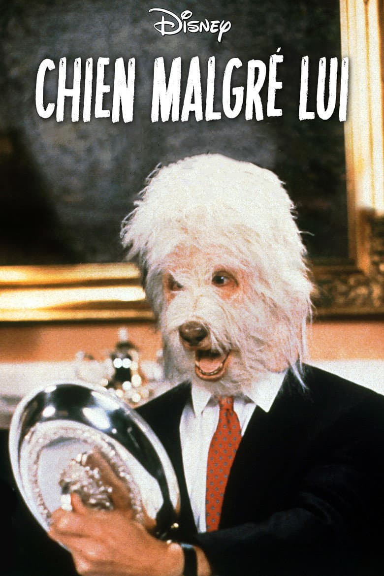 Affiche de Chien malgré lui