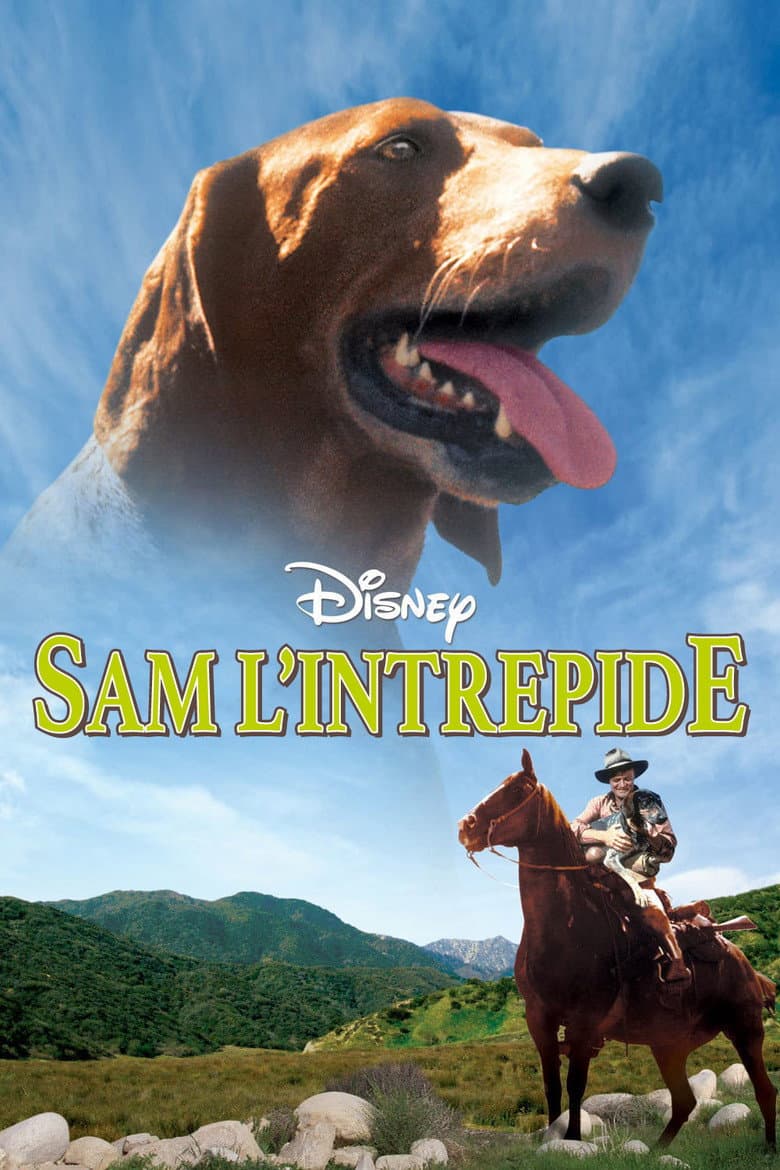 Affiche de Sam L'intrépide