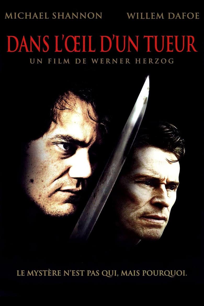 Affiche de Dans l'œil d'un tueur