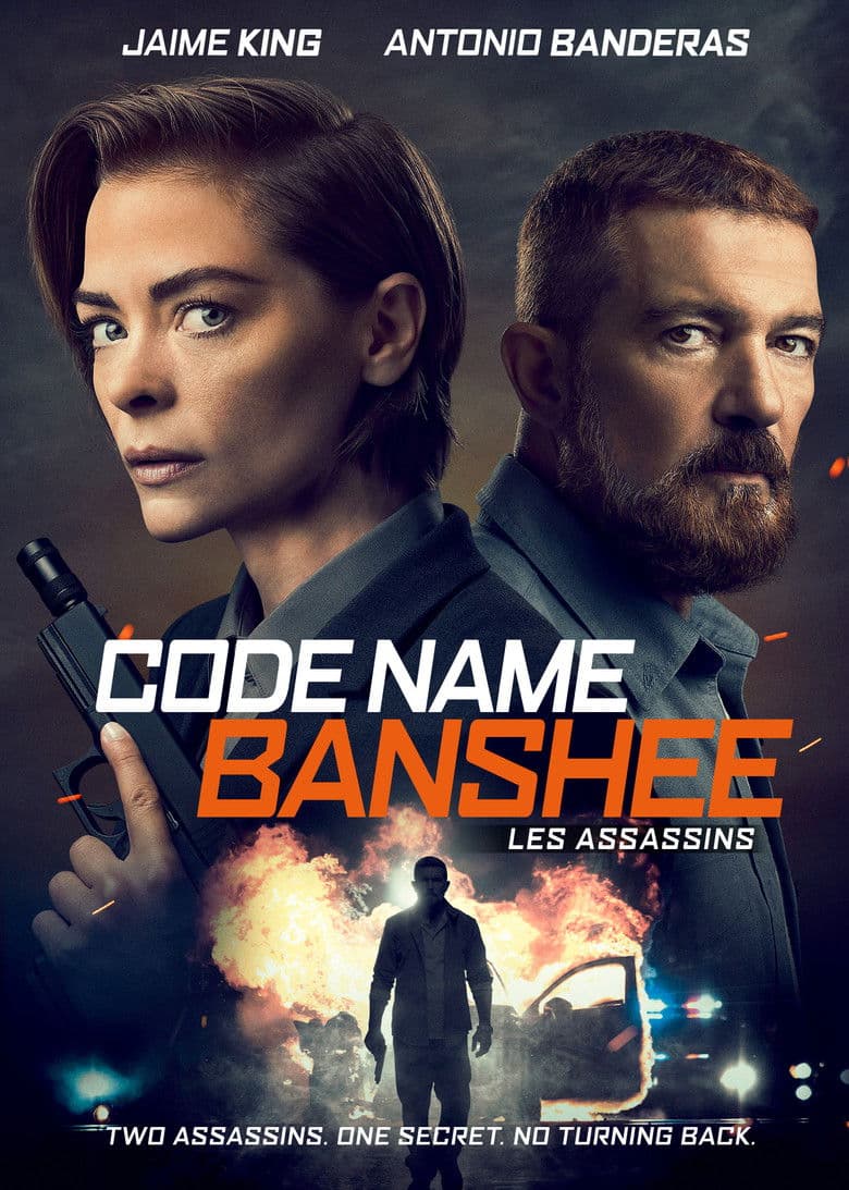 Affiche de Code Name Banshee