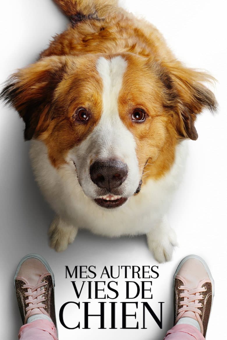 Affiche de Mes Autres Vies de Chien