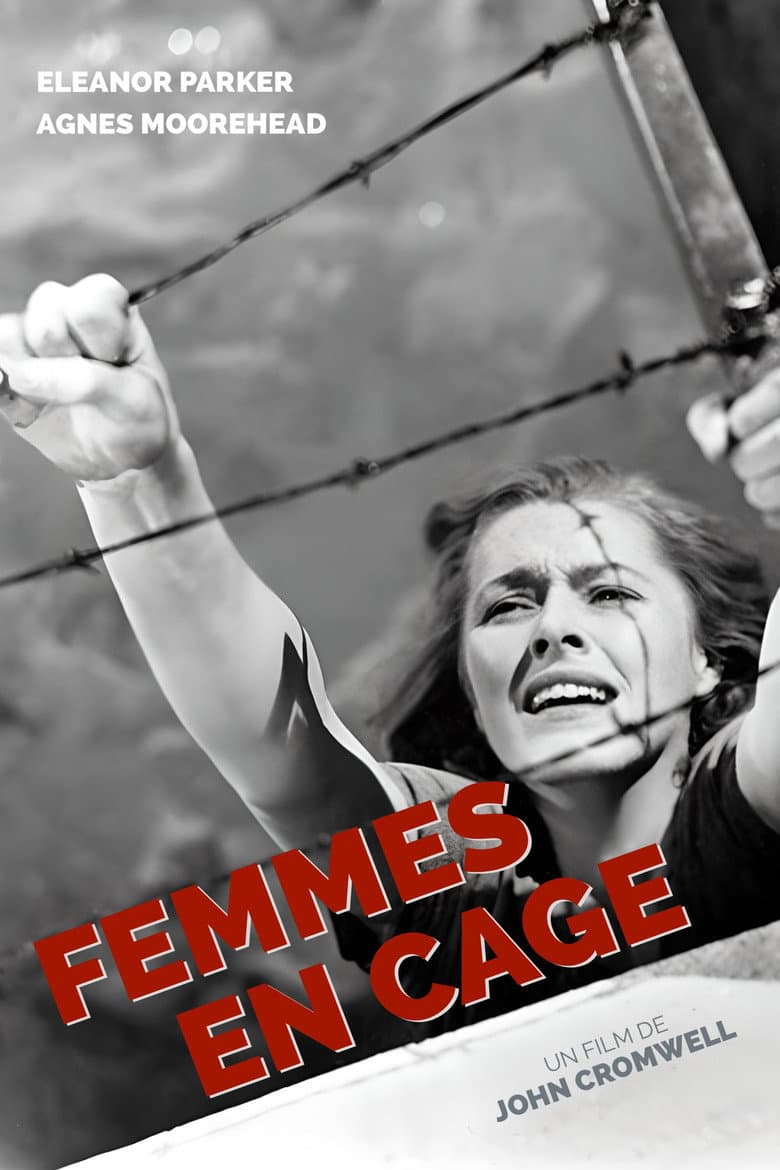 Affiche de Femmes en cage