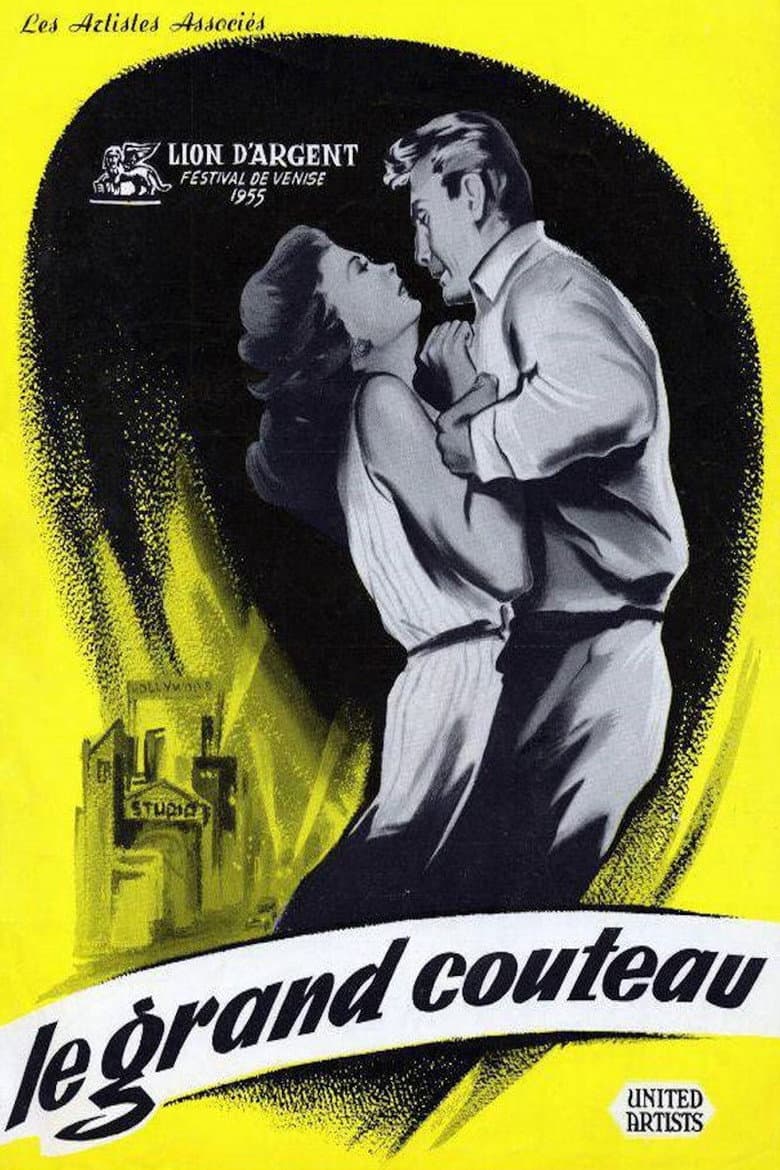 Affiche de Le Grand Couteau