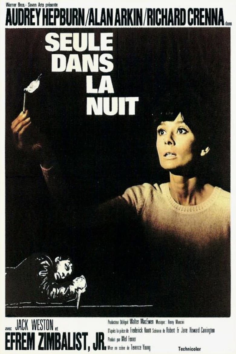 Affiche de Seule dans la nuit