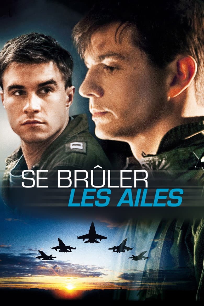 Affiche de Se brûler les ailes
