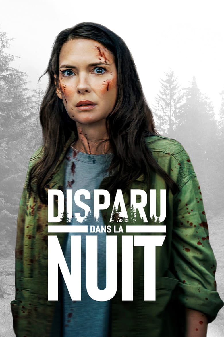 Affiche de Disparu dans la nuit