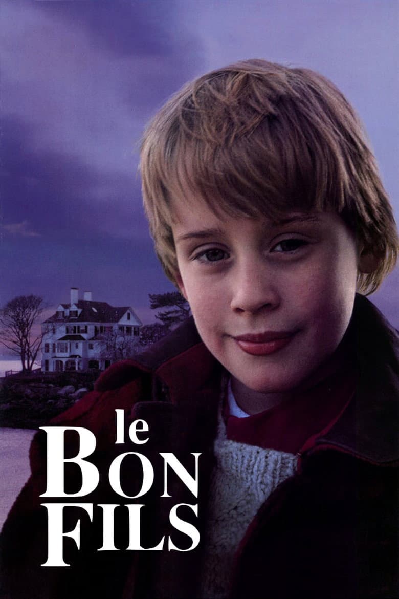Affiche de Le Bon Fils