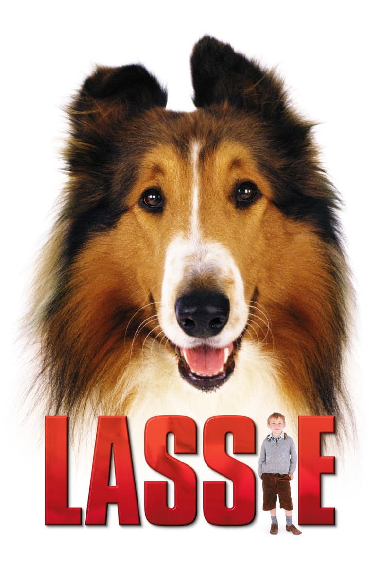 Affiche de Lassie