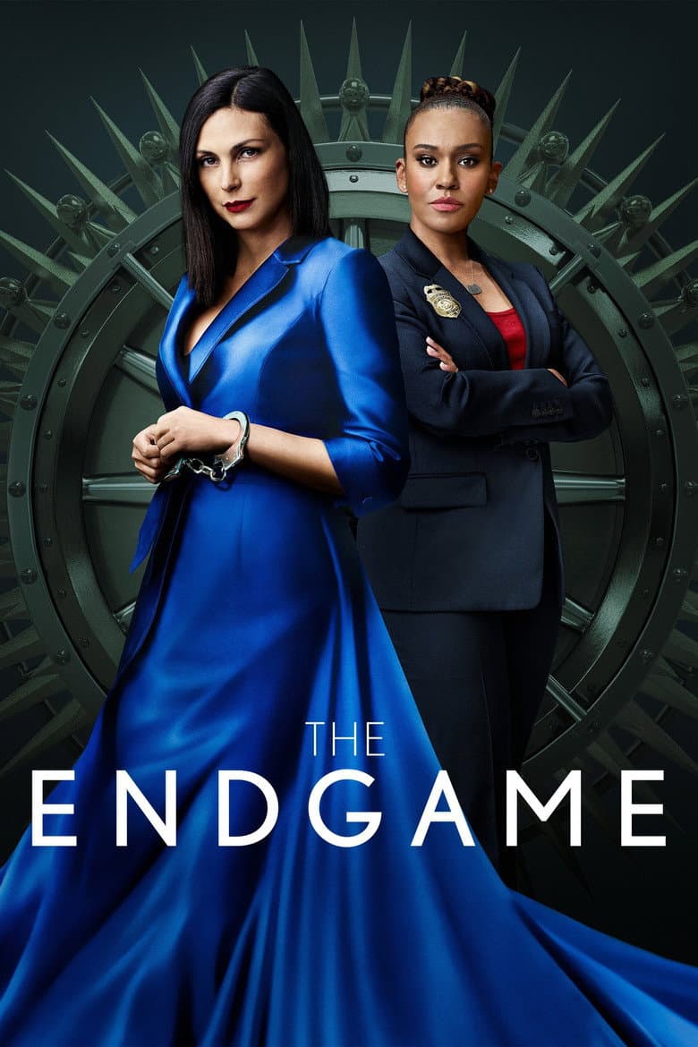 Affiche de The Endgame