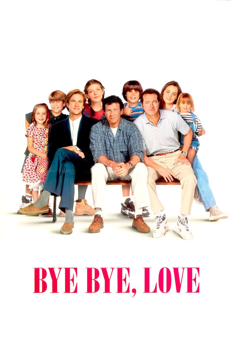 Affiche de Bye Bye Love