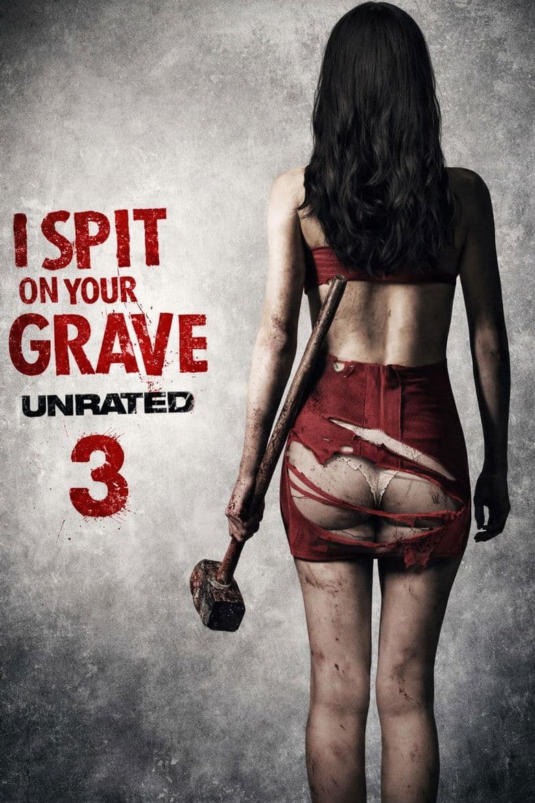 Affiche de I Spit on Your Grave 3 : Vengeance is Mine