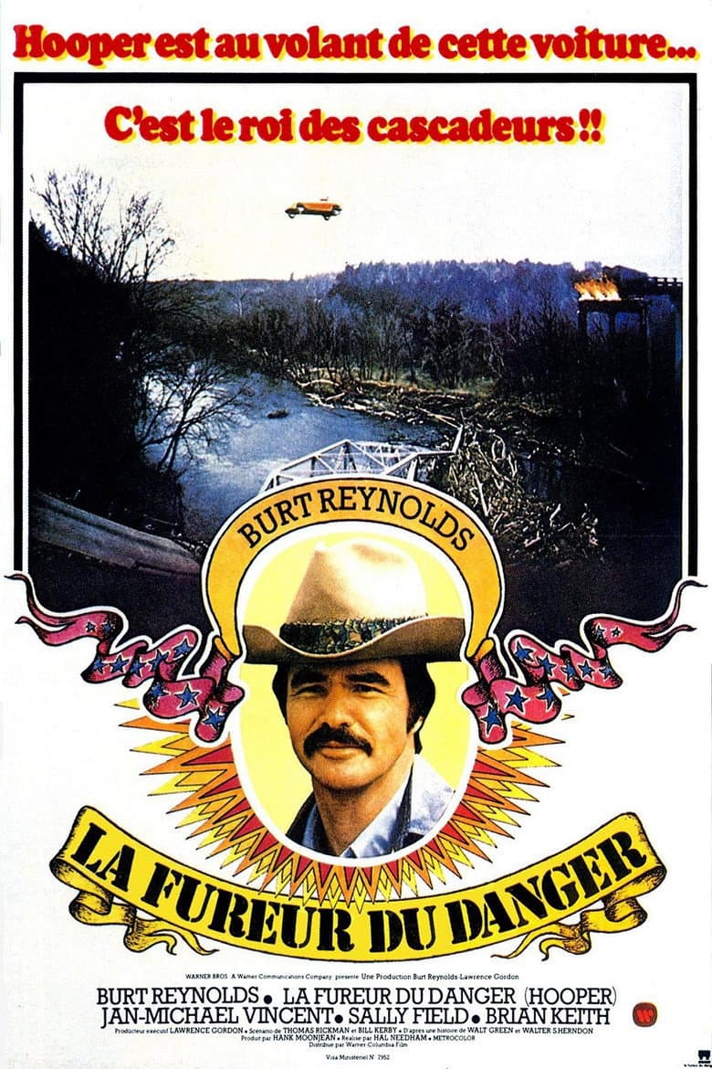 Affiche de La Fureur du danger