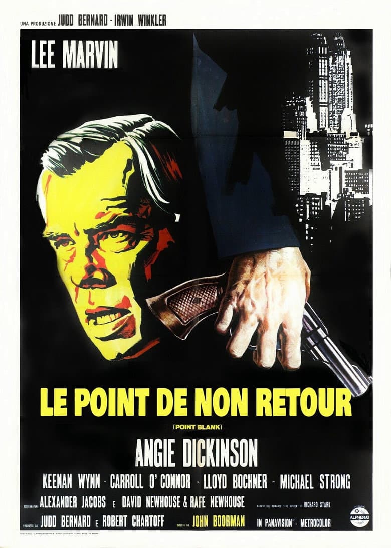 Affiche de Le Point de non-retour