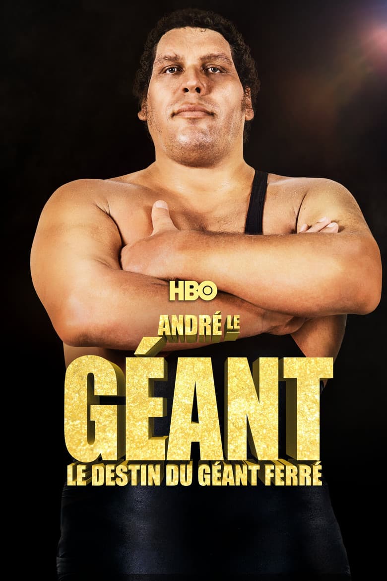 Affiche de André le géant : Le destin du géant ferré