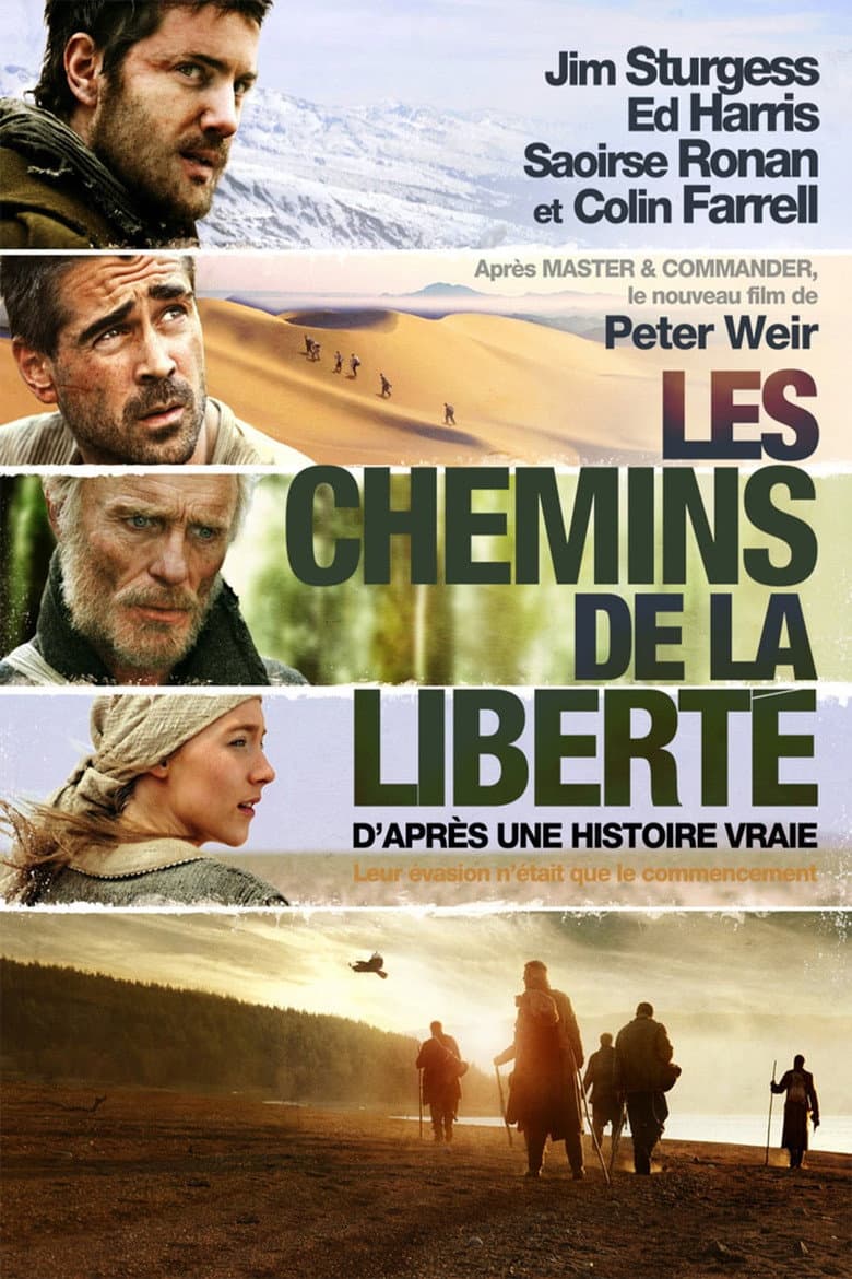 Affiche de Les Chemins de la Liberté