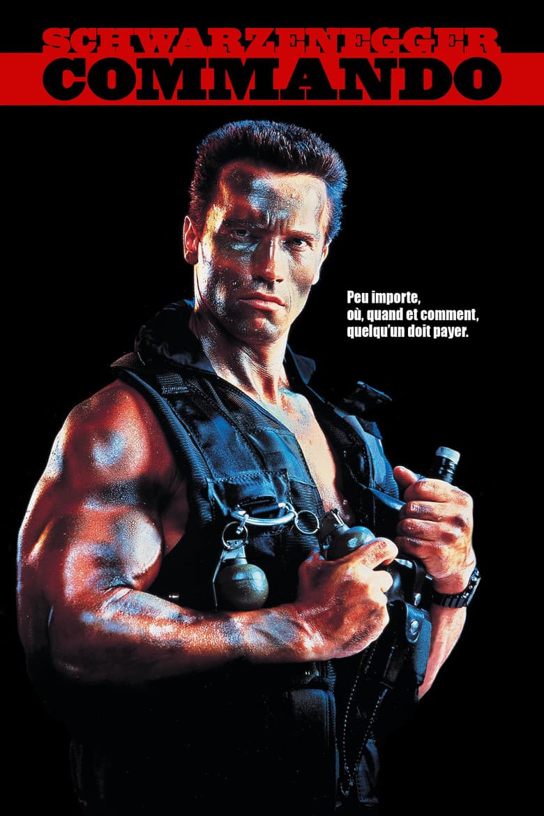 Affiche de Commando