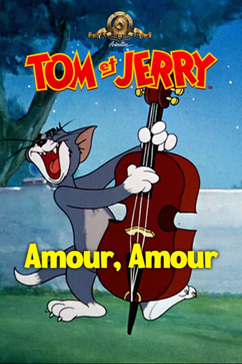 Affiche de Amour, amour