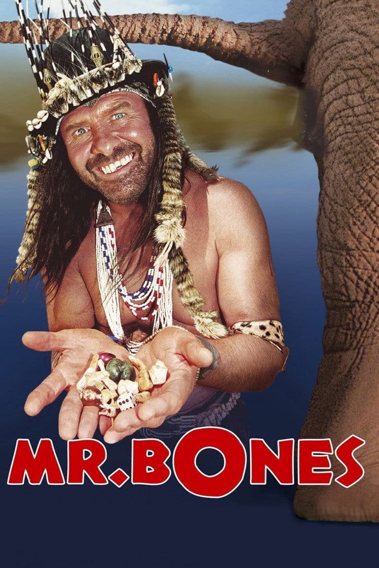 Affiche de Mr. Bones