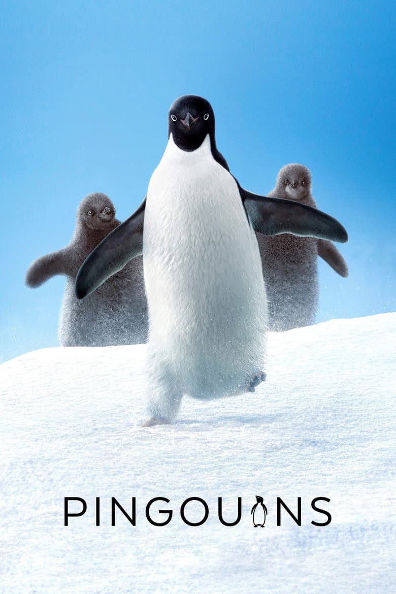 Affiche de Penguins