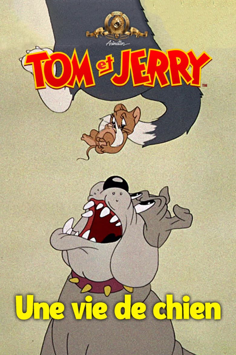 Affiche de Une vie de chien