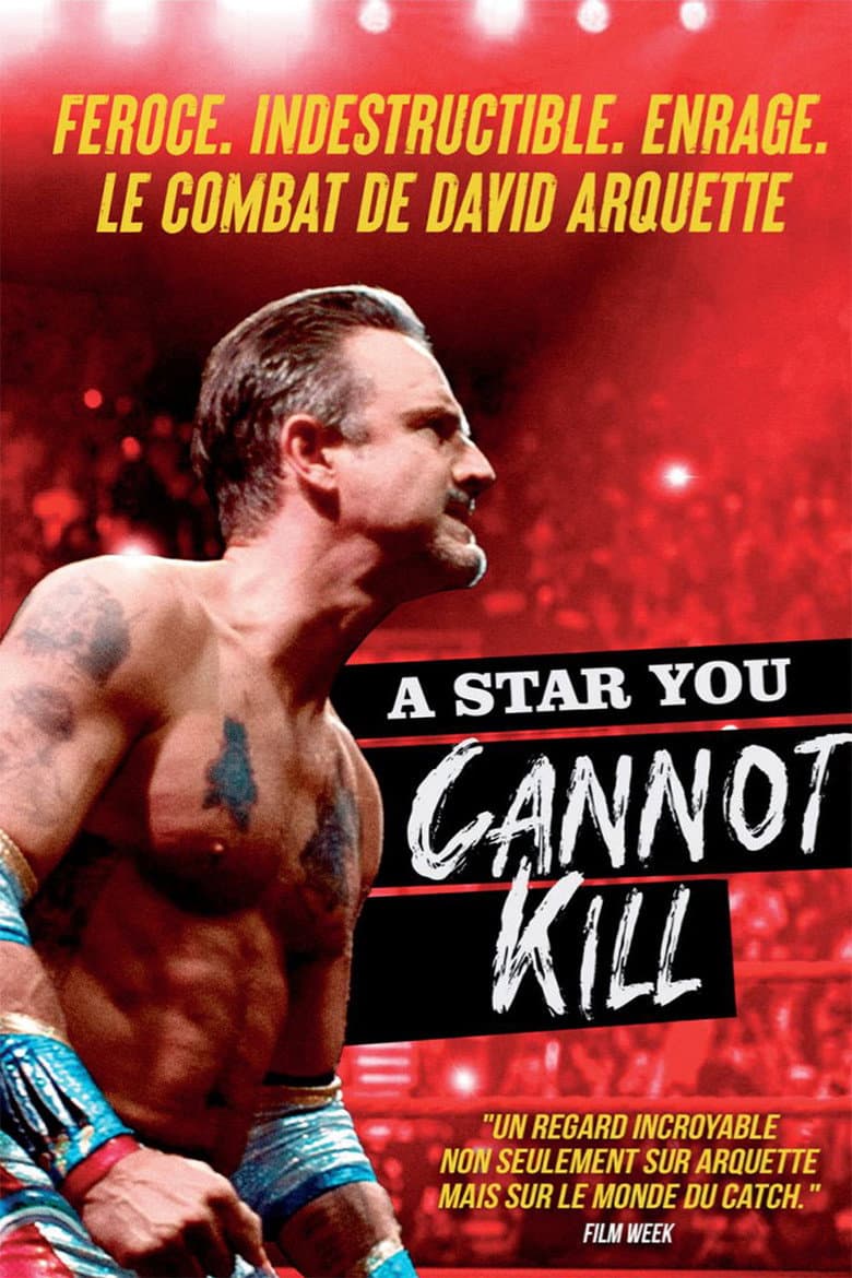 Affiche de A Star You Cannot Kill