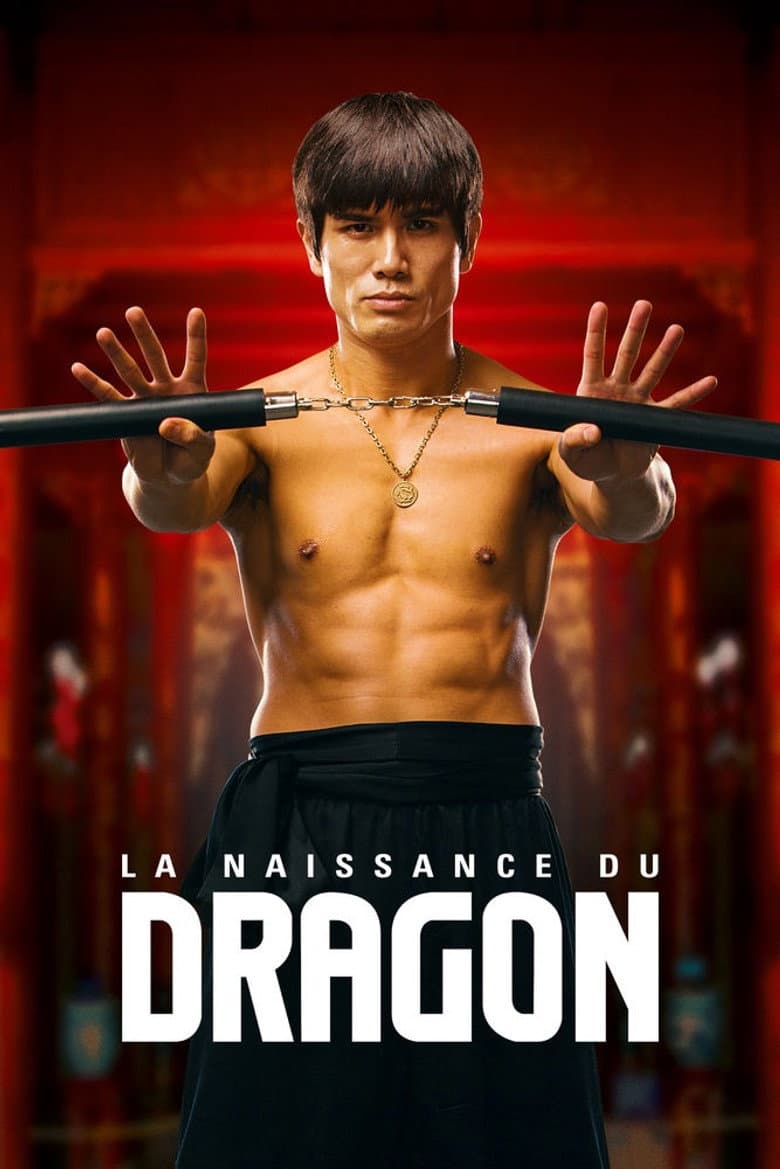 Affiche de La Naissance du Dragon
