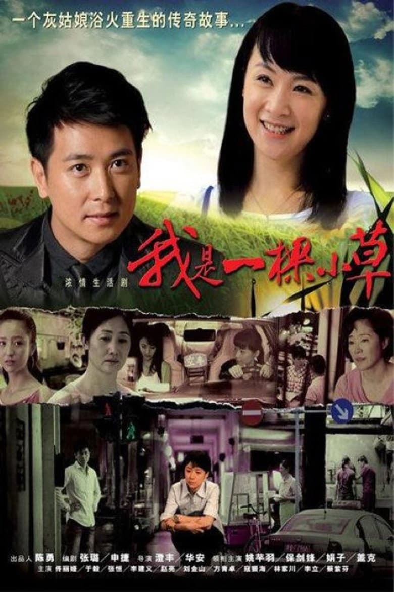 Affiche de 我是一棵小草
