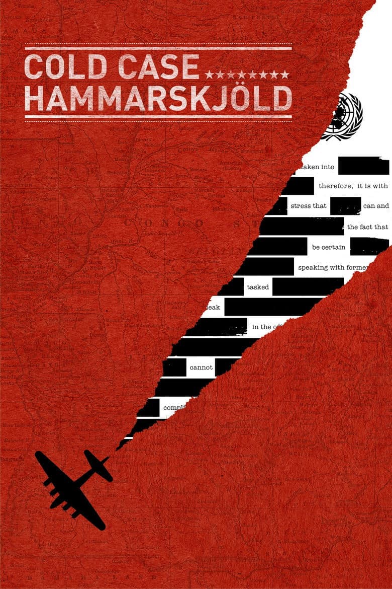 Affiche de Cold case à l'ONU