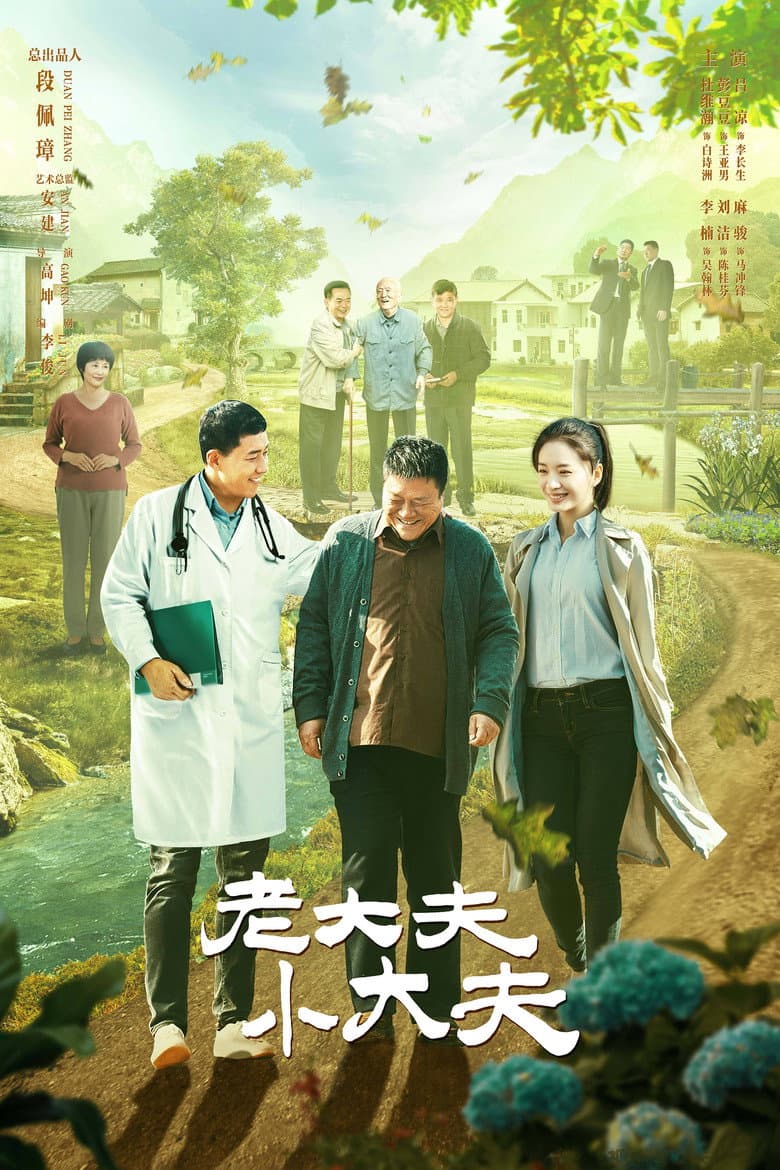 Affiche de 老大夫小大夫