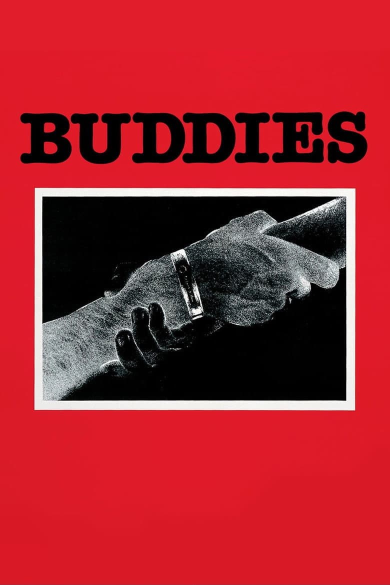 Affiche de Buddies