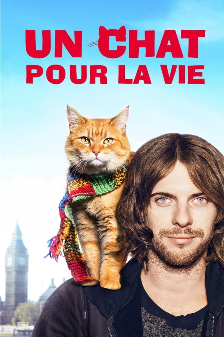 Affiche de Un chat pour la vie