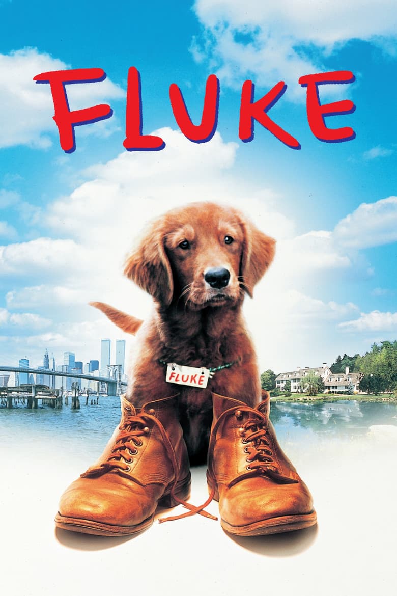 Affiche de Fluke