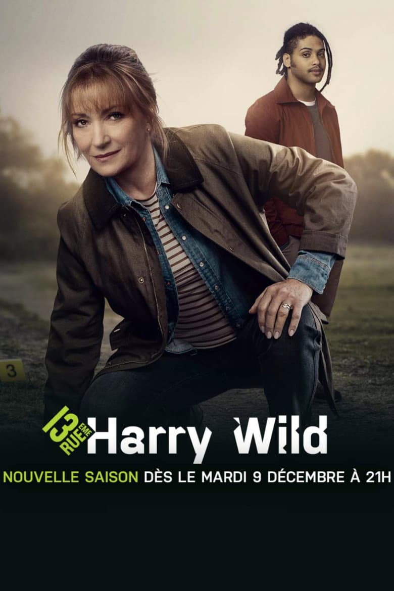Affiche de Harry Wild