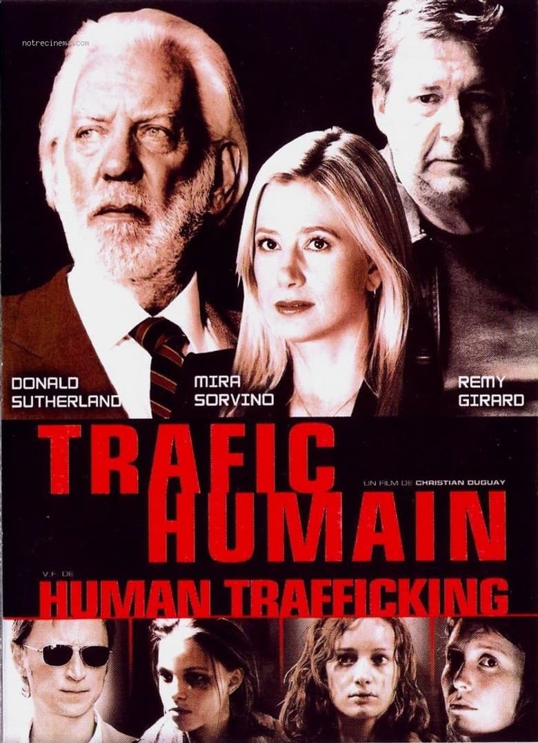 Affiche de Trafic humain