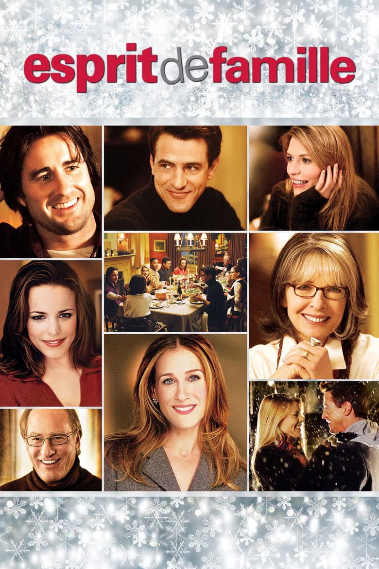 Affiche de Esprit de famille