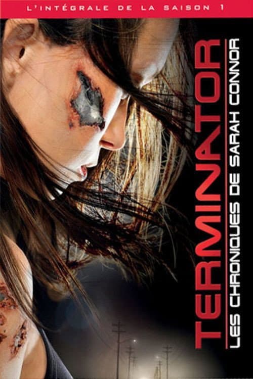 Affiche de Saison 1