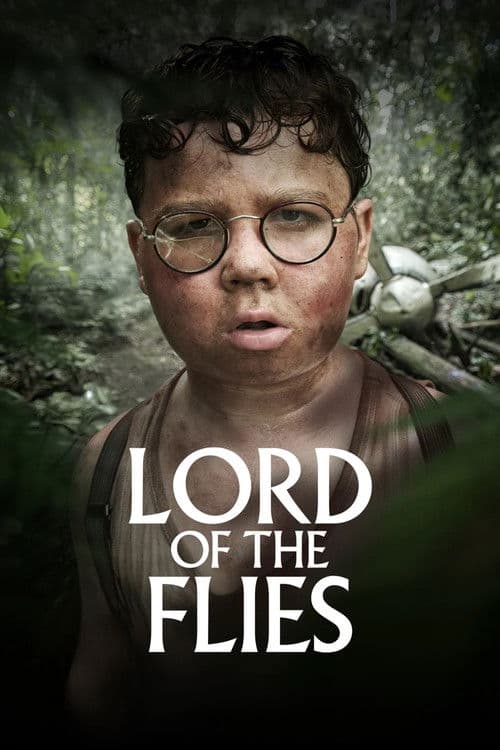 Affiche de Saison 1